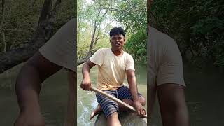 There was a snake in this treeforyou nature new shortvideo travel snake sundarban [upl. by Greenlee]