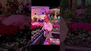 The Garden of Time bellagioconservatory Bellagio LasVegas Toddler Girl fyp [upl. by Anil]