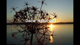 Eve Goodman  Dacw Nghariad Welsh folk song [upl. by Wilbur]