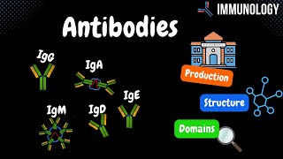 Antibodies Origin Components Domains IgG IgM IgA IgD IgE TABLE  Immunology [upl. by Wallach283]