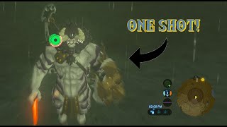 WORLD RECORD Silver Lynel Kill in 033 Seconds  New Glitch [upl. by Kinney]