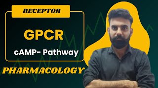 Understanding GPCRs cAMP Pathway Pharmacology Lecture by Naveen Gujjar Sir [upl. by Yenahs299]