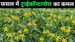 Tricontanol Plant growth regulators Miraculan pgr  ट्राईकॉन्टानोल टॉनिक के बारे में पूरी जानकारी [upl. by Mayap]