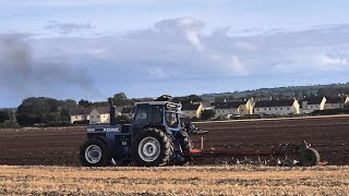 day 46 Mogeely cultivation day wet Sunday morning  Beans update [upl. by Aschim]