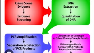 DNA Forensics An Overview of Evidence Law and Procedures [upl. by Ahsenav503]