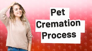 What happens after pet cremation [upl. by Girovard]