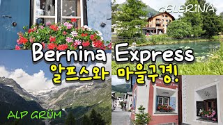 스위스 산책로 탐험Bernina Express Alp Grüm 기차타고 아름다운 알프스여행 스위스마을 Celerina 글래쳐와 야생꽃 시냇물이 흐르는 알프스풍경 [upl. by Higgins]