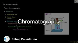 Chromatography Biology Lecture  Sabaqpk [upl. by Anotal792]