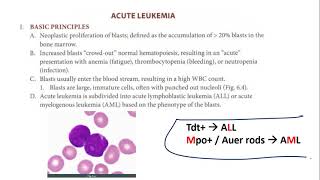 Leukemia ALLAMLCMLCLL amp MPDs PVETMF amp MDSs [upl. by Betthezul517]