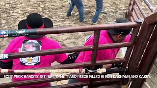 Miles City Bucking Horse Sale 2024 wild horse race [upl. by Grote]