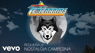 Los Temerarios  Nostalgia Campesina Animated Video [upl. by Antonin]