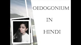 Oedogonium in Hindi हिन्दी मे [upl. by Melita]