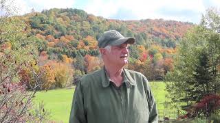 Steve of Tillotson Trading Gives Us His Vermont Foliage Report [upl. by Pulcheria840]