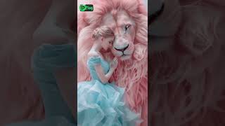 love nwantiti songtrending viralshort shortsfeed song remix dance lion enolabedard [upl. by Aire]