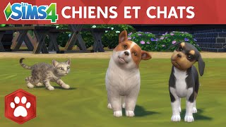 Chiens et Chats Avoir des bébés chiens   Les Sims 4 [upl. by Annunciata563]