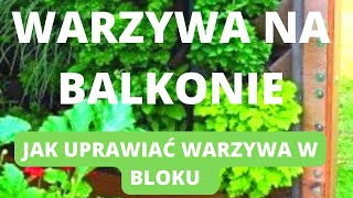 Warzywa na balkonie Jak uprawiać warzywa w bloku [upl. by Merv295]