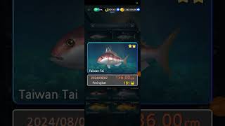 FULL IKAN LAUT BORNEO MANCING 160 dramzcorporation fishing gaming [upl. by Morel88]