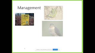 Deciduous Woodland Threats and New Forest Case Study Geography Y10amp11 [upl. by Ikkela]