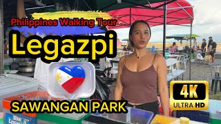 Legazpi Walking Tour The City that Survived a Volcano [upl. by Enail]