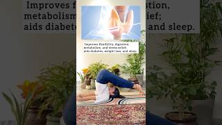 “Unlock Flexibility Boost Vitality – Discover the Power of Halasana”yoga motivation [upl. by Leiad]