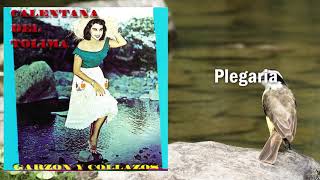 Plegaria  Garzon Y Collazos  Música Colombiana [upl. by Delaine948]