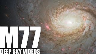 M77  A Special Kind of Galaxy  Deep Sky Videos [upl. by Yvehc985]