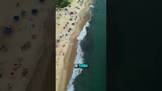 Praia do Paúba  São Sebastião  SP I dronesampa [upl. by Nickolaus]