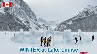 Winter at Lake Louise Banff ❄️ Walk and Skating ⛸️ Banff National Park Canada 🇨🇦 [upl. by Charline411]