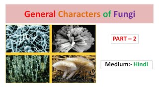 General Characters of Fungi Part2 Hindi [upl. by Daniel]