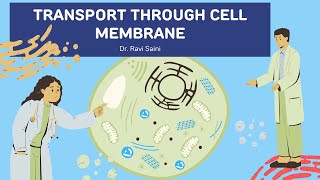 Ion Channels in Action Watching Cells Communicate [upl. by Eihtak]