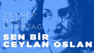 Sen bir ceylan olsan  Zeynep Bakşi Karatağ [upl. by Ensoll]