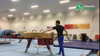 Tong Fei Drills amp Exercises Pommel Horse Gymnastics [upl. by Tahpos162]