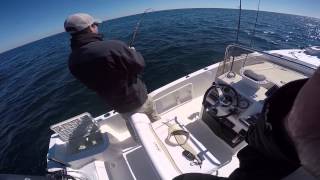 Light Tackle Nearshore Fishing [upl. by Thain]