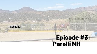 Parelli NH [upl. by Naro]