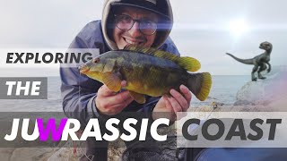 Green HULK Fish destroys my tackle Wrasse fishing with Craw Lures [upl. by Eladnor]