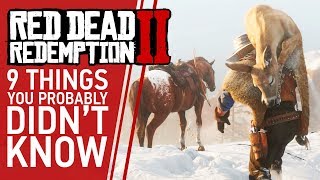 9 Things You Probably Didnt Know You Could Do In Red Dead Redemption 2 [upl. by Wade]