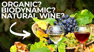 A Dive Into Organic Biodynamic Sustainable Natural and Vegan Wine [upl. by Airolg]