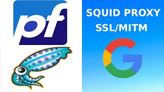 Squid Proxy Modo Transparente  SSLMITM con pfSense CE 272 [upl. by Conti905]