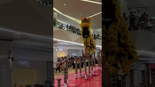 Dai Tong Bak Hock  Pinnacle Sri Petaling Mall Lion Dance Championship 2024  Highlights [upl. by Maddeu489]