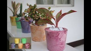 DIY PLASTER OF PARIS FLOWER POTS PART 2 plasterpot diyplasterpot plasterofparis pot [upl. by Aem952]