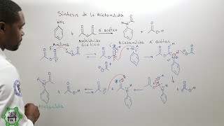 Síntesis de la Acetanilida  Conversión de Anhídrido de Ácido en Amida  Mecanismo de Reacción [upl. by Pfeffer]