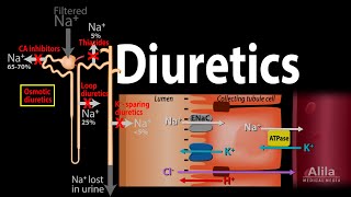 Diuretics  Mechanism of Action of Different Classes of Diuretics Animation [upl. by Dleifrag]