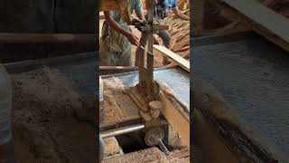 Behind the Scenes with Expert Sawmill Operators Precision Techniques [upl. by Aes]