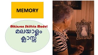 Memory Atkinson Shiffrin Model [upl. by Aitnahc477]