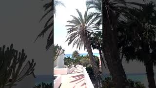 🤫 Geheimtipp Spanien Der Aldiana Club in Fuerteventura🏝️🏖️ Spanien Urlaubsfeeling Aldiana [upl. by Mather]