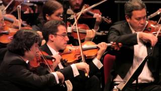 Brahms Symphony No 2 in D Major Opus 73 Allegretto grazioso by NACO [upl. by Richy419]