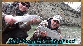 Mid December Steelhead Fishing [upl. by Nairolf]