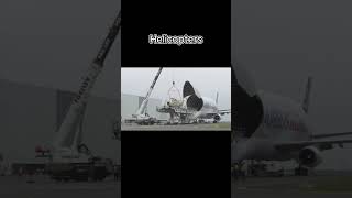 Plane transport planeedits planegeek plane aviation airbusbeluga cargo an225 an124 shorts [upl. by Shana]