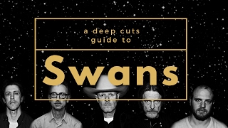 A Guide to SWANS [upl. by Chery]