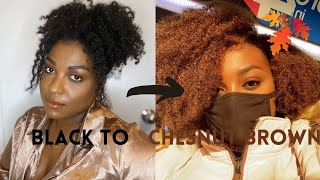 DYING MY NATURAL TYPE 4 HAIR CHESTNUT BROWN NO BLEACH JUSTINE SKYE INSPIRED THERESA CHANTAL [upl. by Nitsugua]